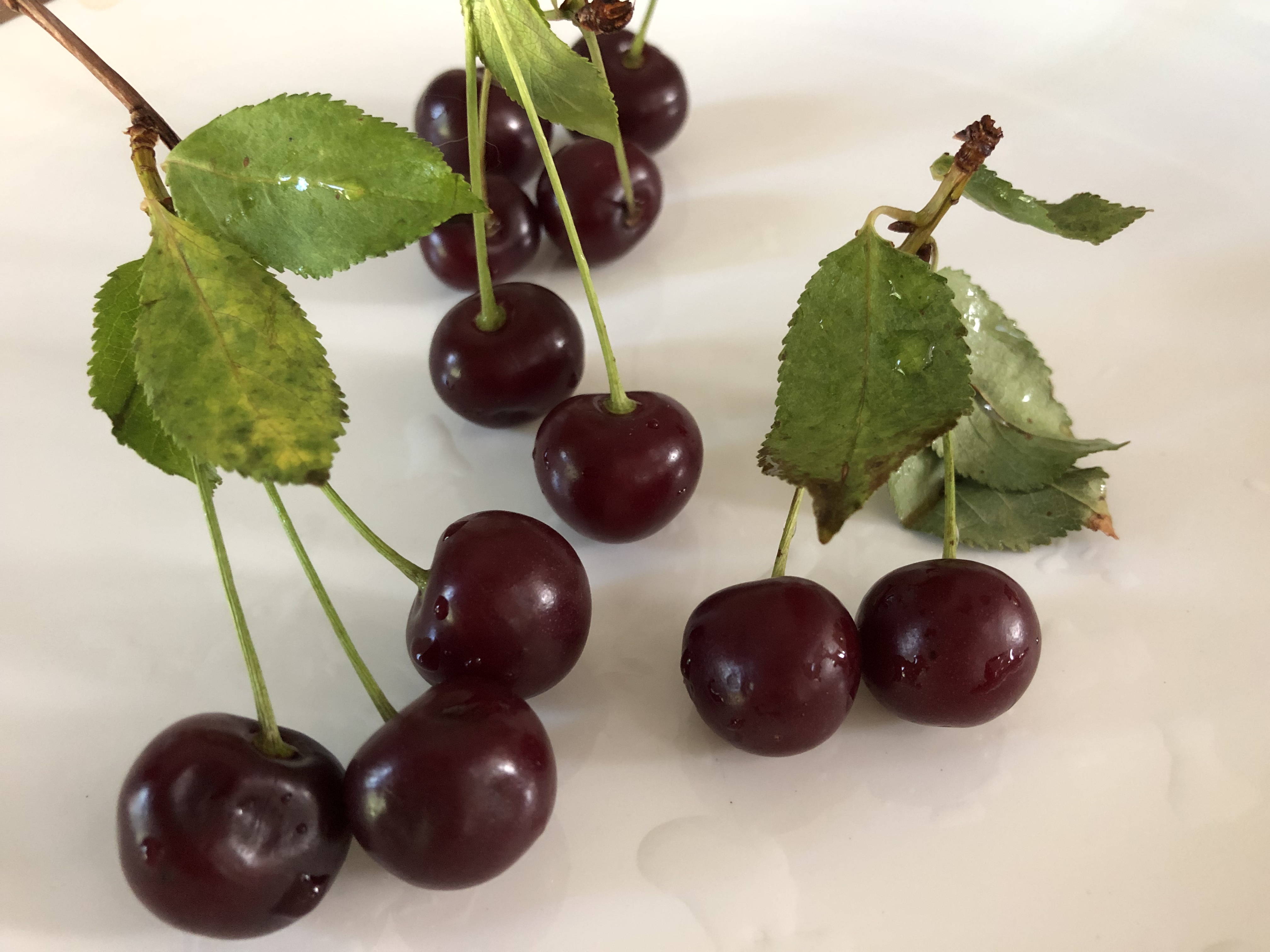 7635C0E8-0B71-4241-BD76-9BF33D28A124