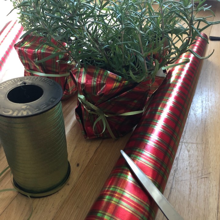 1DE97F8F-2B26-4FC6-9C0D-8D74ACFF02A4